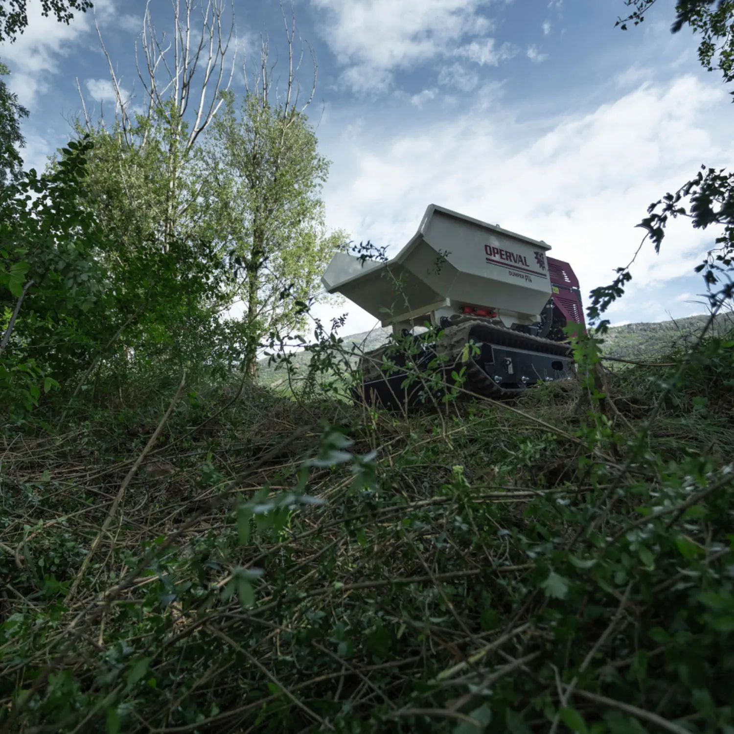 Radio-controlled mini dumper P14 Operval Srl product image 6